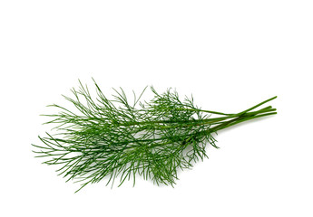 Dill
