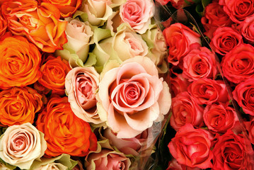 Rosenstrauß - rot,rose und orange