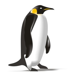 Pinguino