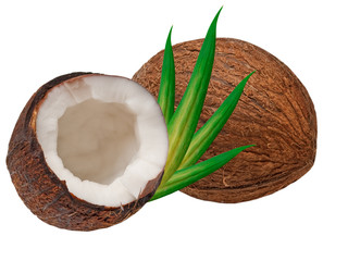coconut isolated on white background