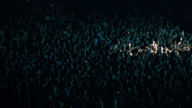 people at the concert