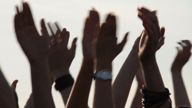 people at the concert