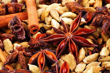 Close up of Indian spices