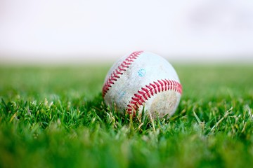 Baseball on a green grass field