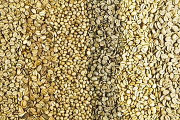 green unroasted coffee beans