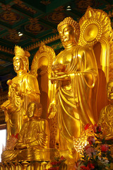 The golden Buddha statue