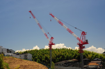 crane-12