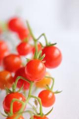 マイクロトマト