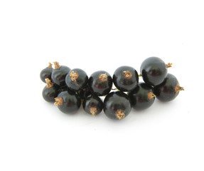 Black currant