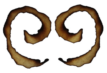 burnt paper