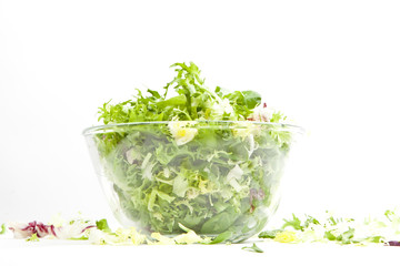 green salad. healthy vegetarian food
