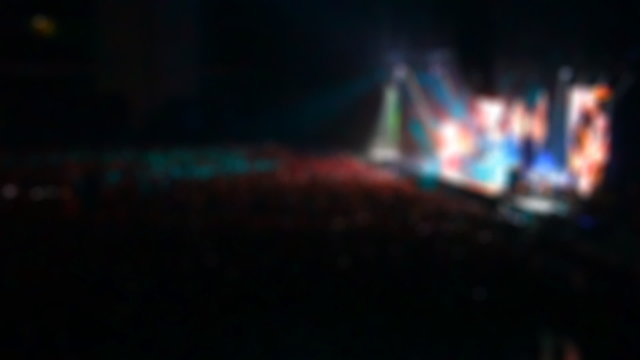 people at the concert