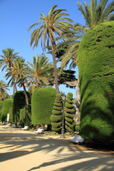 Cádiz, Parque Genovés