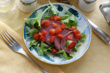 Lengua