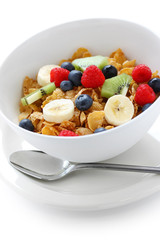breakfast cereal with fresh fruits