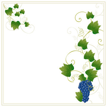 Frame with grapes