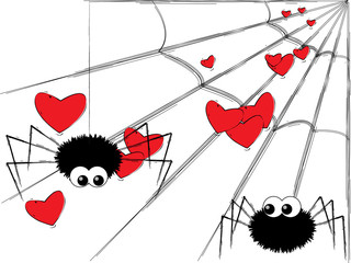 Spiders in love