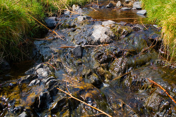 Stream