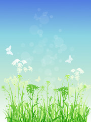 Obraz premium Floral background with green grass