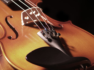 Violin Low Saturation