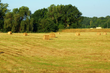 Strohballen