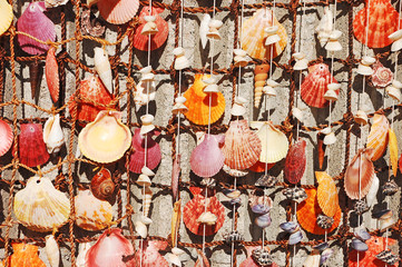Colorful hanging seashells on display