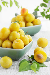 yellow damson plum