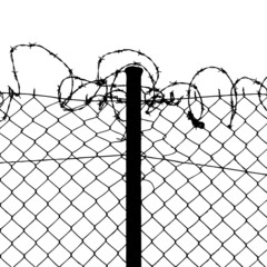 vector of wired fence with barbed wires