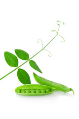 green peas
