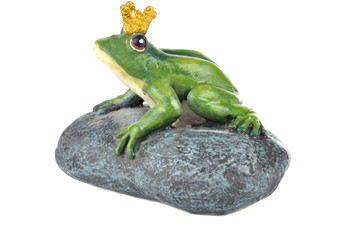 Frog sitting on a stone