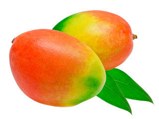 Mango isolated on white background