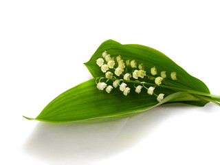 lilly of the valley bouquet isolated over white background - obrazy, fototapety, plakaty