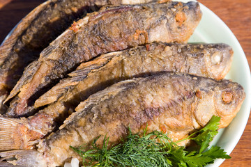 Fried fish carp in plate