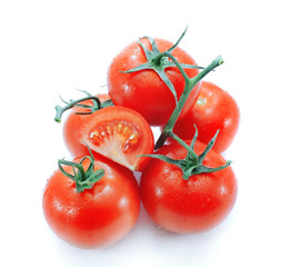 Branch of tomato isolated