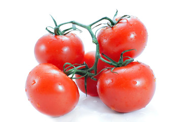 Branch of tomato