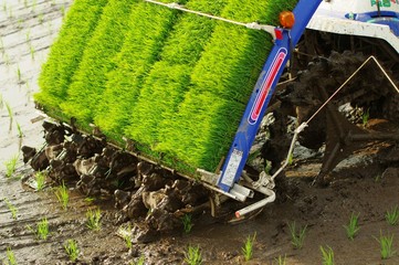 田植機