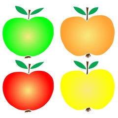 apples vector