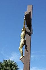 Fototapeta premium Guyane - Cayenne - 