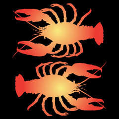 lobster vector