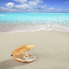 Fototapeta na wymiar Karaiby perła na powłoki białym piasku tropikalnej plaży