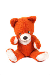 old red bear