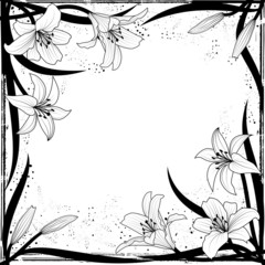 lily frame