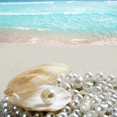 Deurstickers Caribbean pearl on shell white sand beach tropical © lunamarina