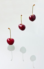 3 гордо висящие черешни