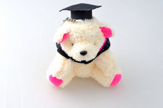 Graduation bear