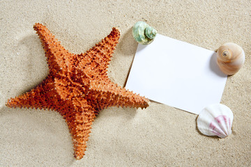 blank paper beach sand starfish shells summer