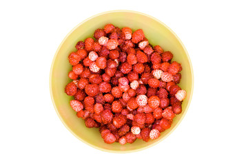 Wild strawberries in the yellow bowl