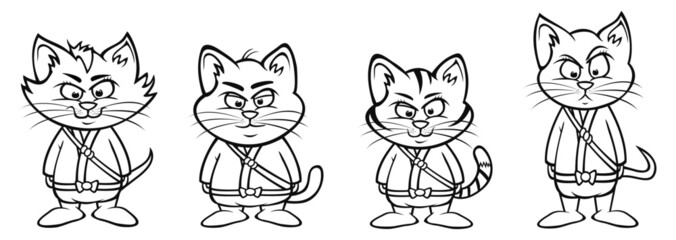 kitten ninja lineup © Andrew Adams