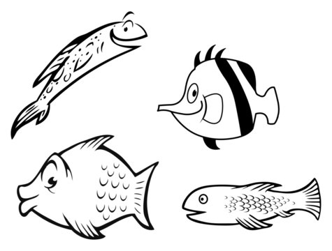 fish collection outline