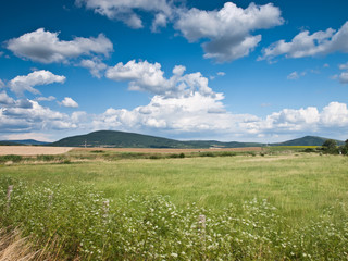 green field background